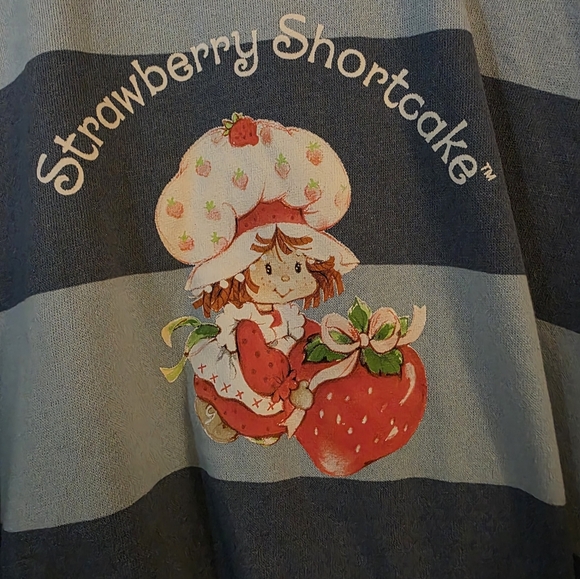 Strawberry Shortcake Blue Striped Cropped Sweatshirt With Bell Sleeves Sz XXL - Picture 3 of 6